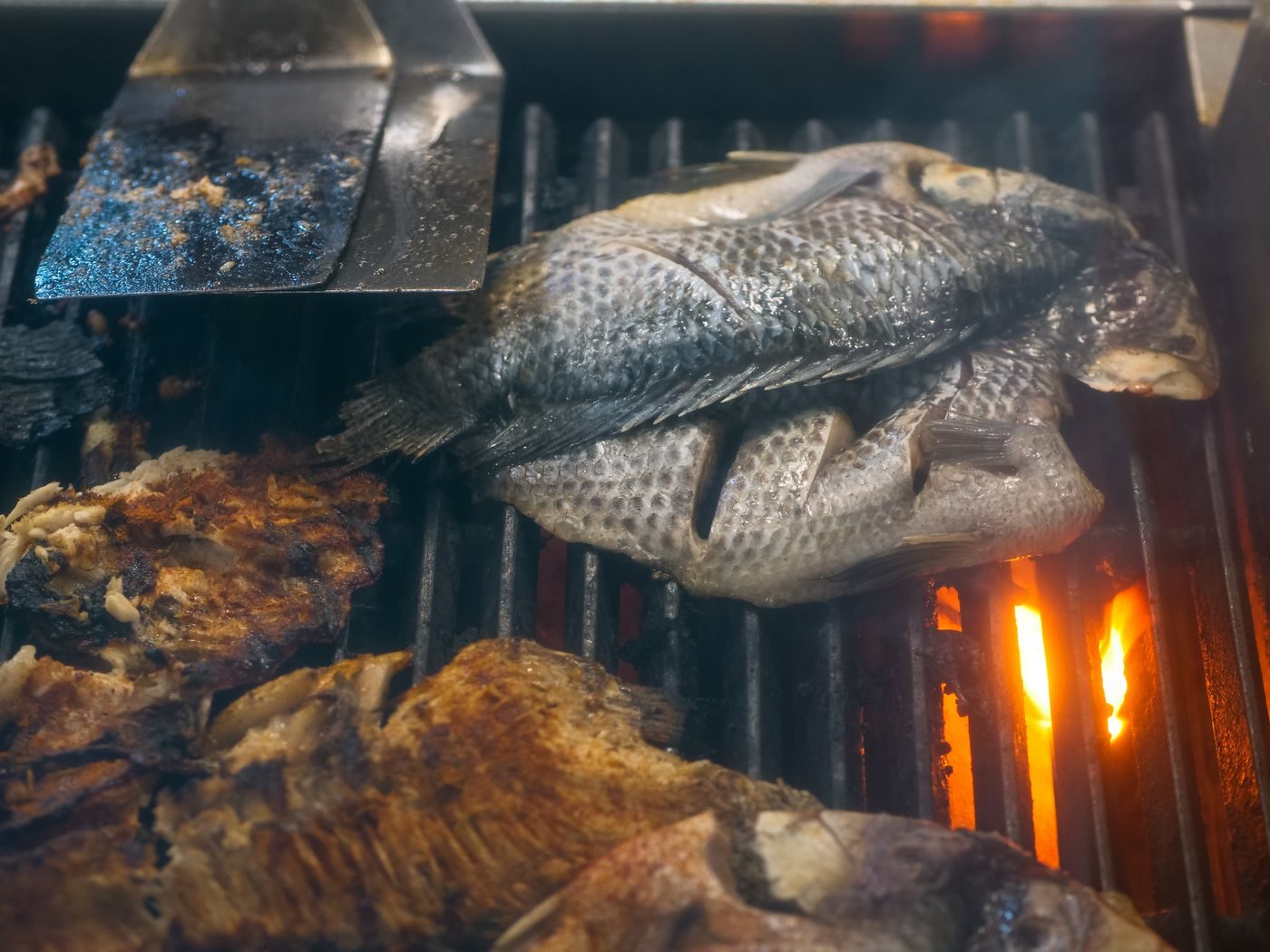Pescado entero asado sobre parrilla con brasas